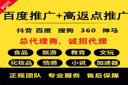 行业领先的SEM投放效果案例解析